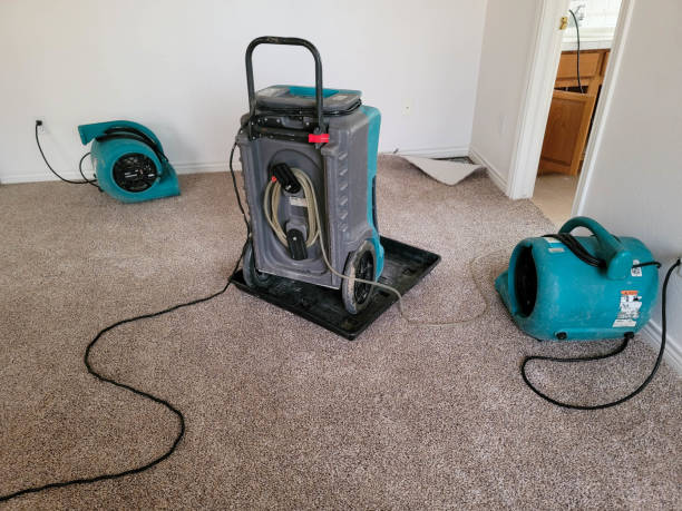 Best Commercial water damage restoration  in Inver Grove Heights, MN