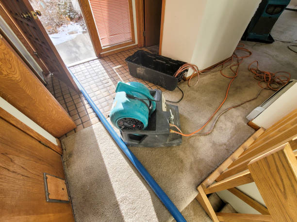 Best 24/7 water damage repair  in Inver Grove Heights, MN