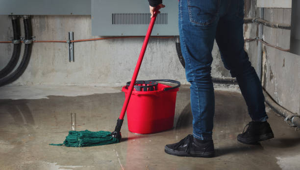 Best Professional water damage repair  in Inver Grove Heights, MN