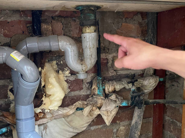 Best Water damage repair service  in Inver Grove Heights, MN