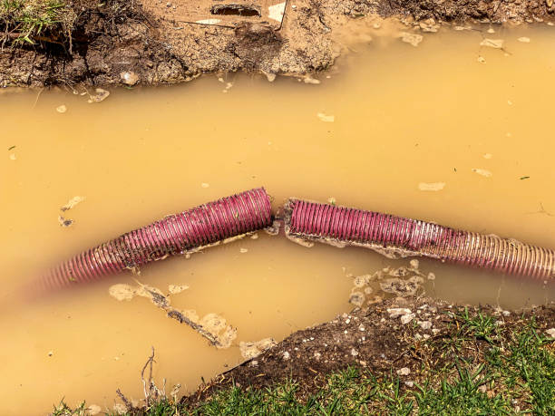 Best Professional water damage repair  in Inver Grove Heights, MN